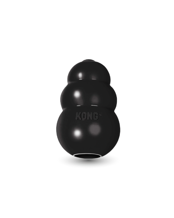 KONG Extreme Bidelegetøj