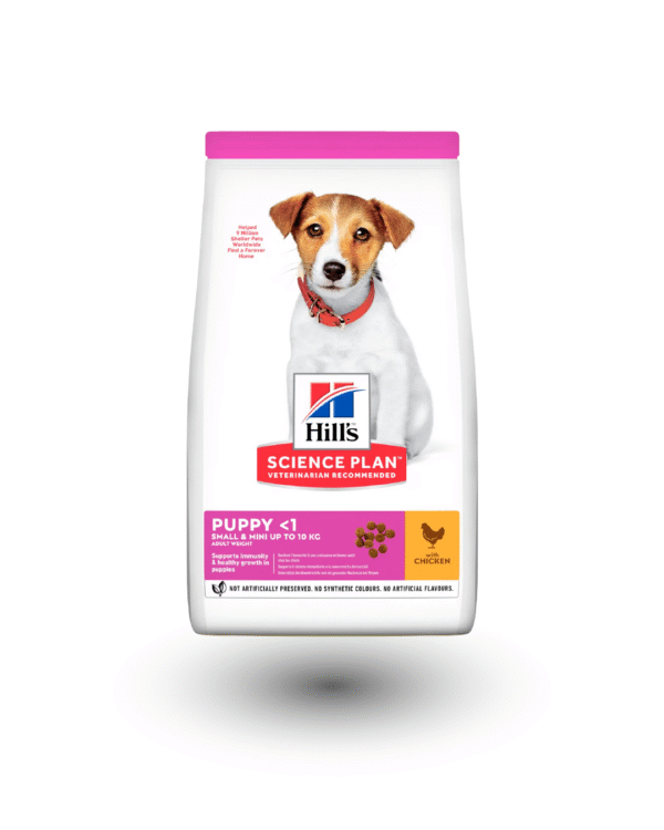 Hill's Science Plan Small & Mini Puppy - lam & ris 6 kg